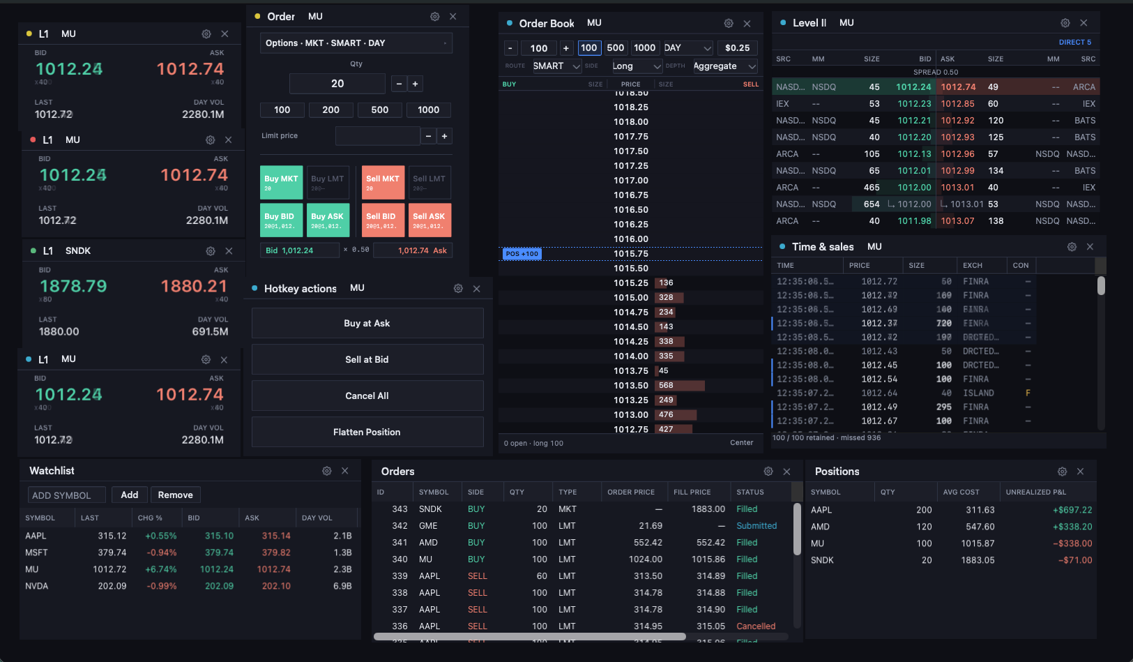 Display 1 — full montage: L1 quotes, order entry, order book, time and sales
